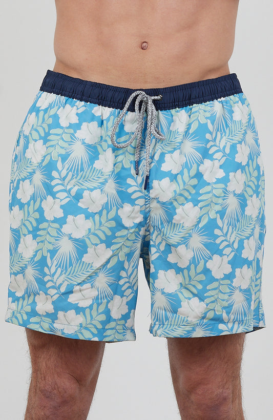 HIBISCUS